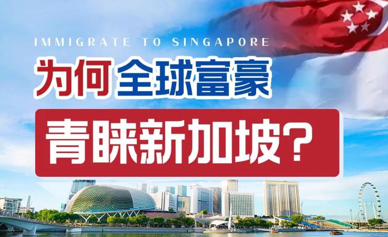 海外移民办理全流程深度解析：从身份规划到落地安家的专业指南